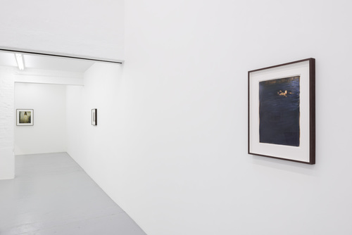 Domesticated - Jan De Maesschalck - 