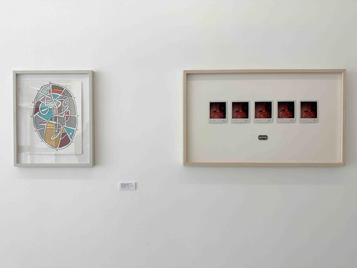 Affiniteiten #5: Anne-Mie Van Kerckhoven ∞ Danny Devos // Carole Vanderlinden ∩ Walter Swennen - Installation view