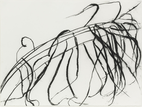 Susan Hartnett - Susan Hartnett - Oct. 8 2011 #3, Blue-joint grass (Calamagrostis canadensis)