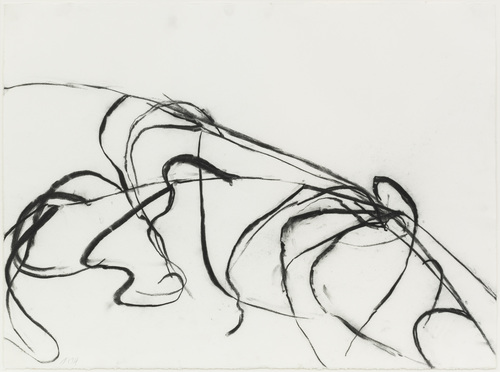 Susan Hartnett - Oct. 12 2011 #2, Blue-joint grass (Calamagrostis canadensis)