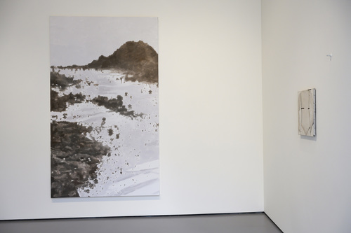 La Pelle - Installation view