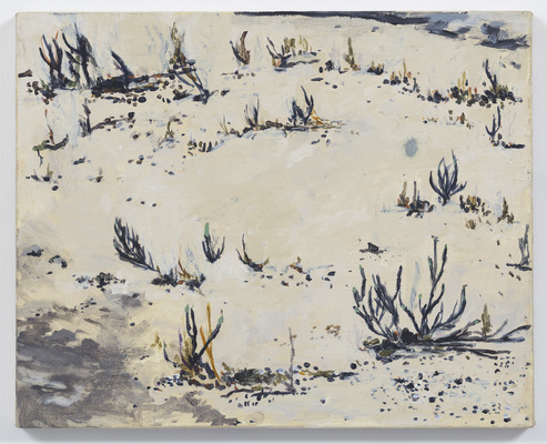 Galope - Marina Rheingantz - Serra das confusoes