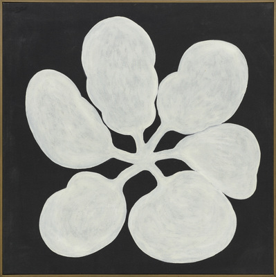 Off Road - Untitled, from Botânica