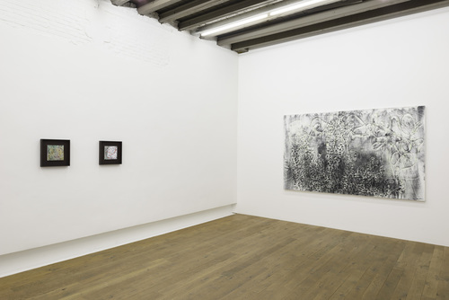 Dirk Braeckman, Susan Hartnett, Jockum Nordström, Jack Whitten - Installation view