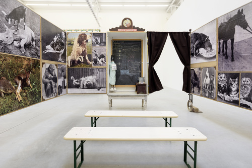 Patrick Van Caeckenbergh - De Smartlappen. Fabularum (Het leven van Aesopus) (The Rags of Sorrow. [The Life of Aesop])