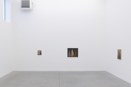Coloured Cones - Michaël Borremans - Installation view