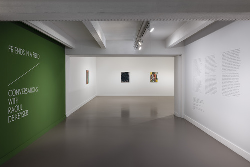 Friends in a Field: Conversations with Raoul De Keyser - Installation view